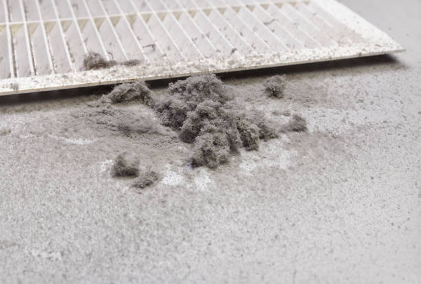 Best HVAC Duct Inspection Services  in Lodi, OH
